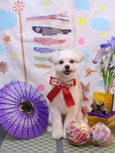 20240502ヌンくん